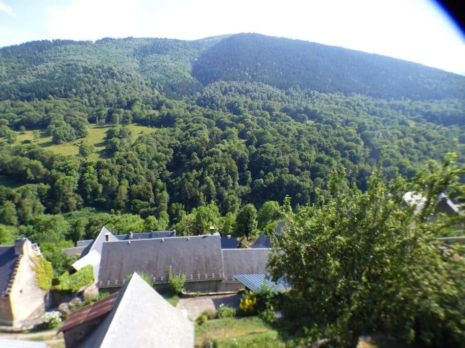 Maison Familiale Pour 8 Saint-Aventin Экстерьер фото