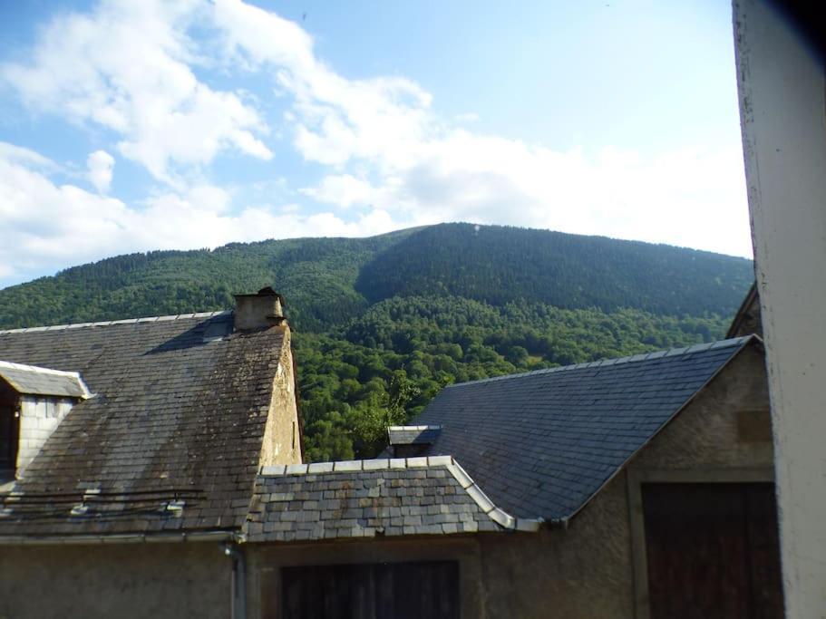 Maison Familiale Pour 8 Saint-Aventin Экстерьер фото